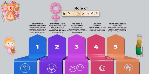 festive foods and female hormones