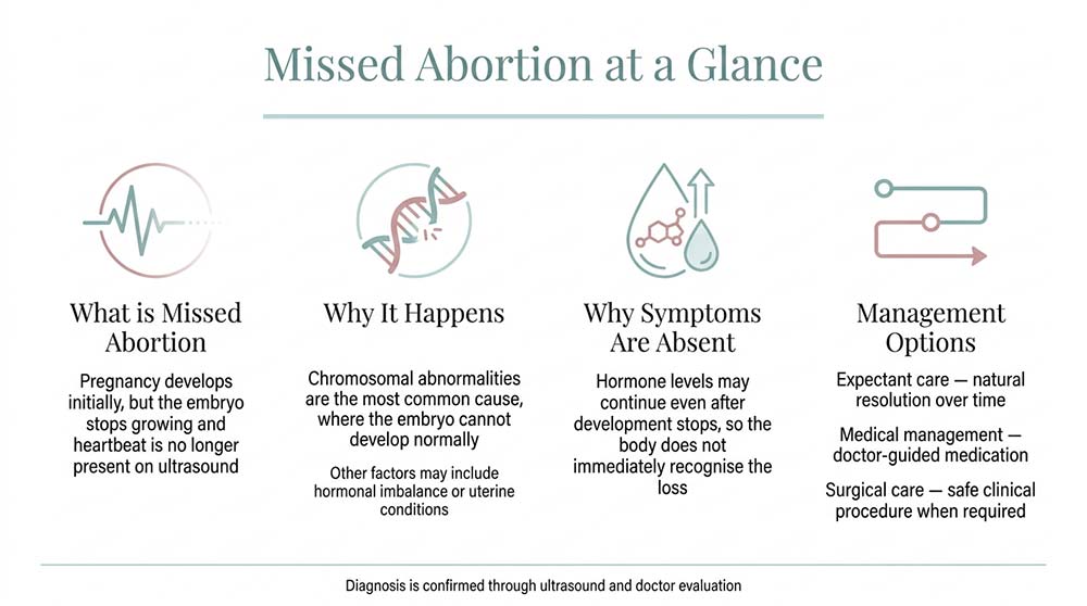 Infographic explaining missed abortion causes symptoms and treatment options